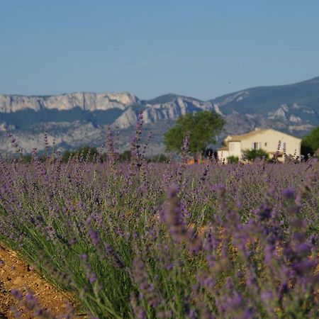 Lou Pebre D'Ai Bed and Breakfast Régusse Εξωτερικό φωτογραφία