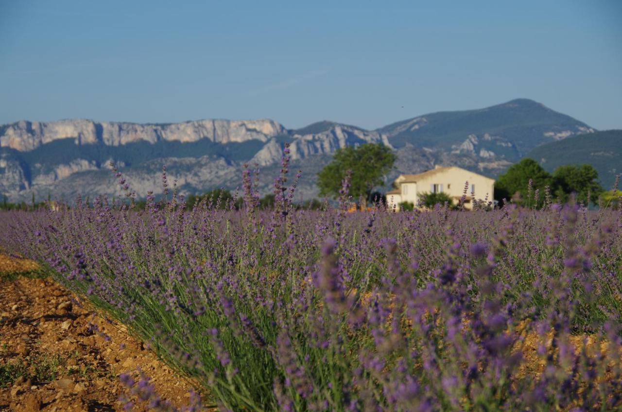 Lou Pebre D'Ai Bed and Breakfast Régusse Εξωτερικό φωτογραφία